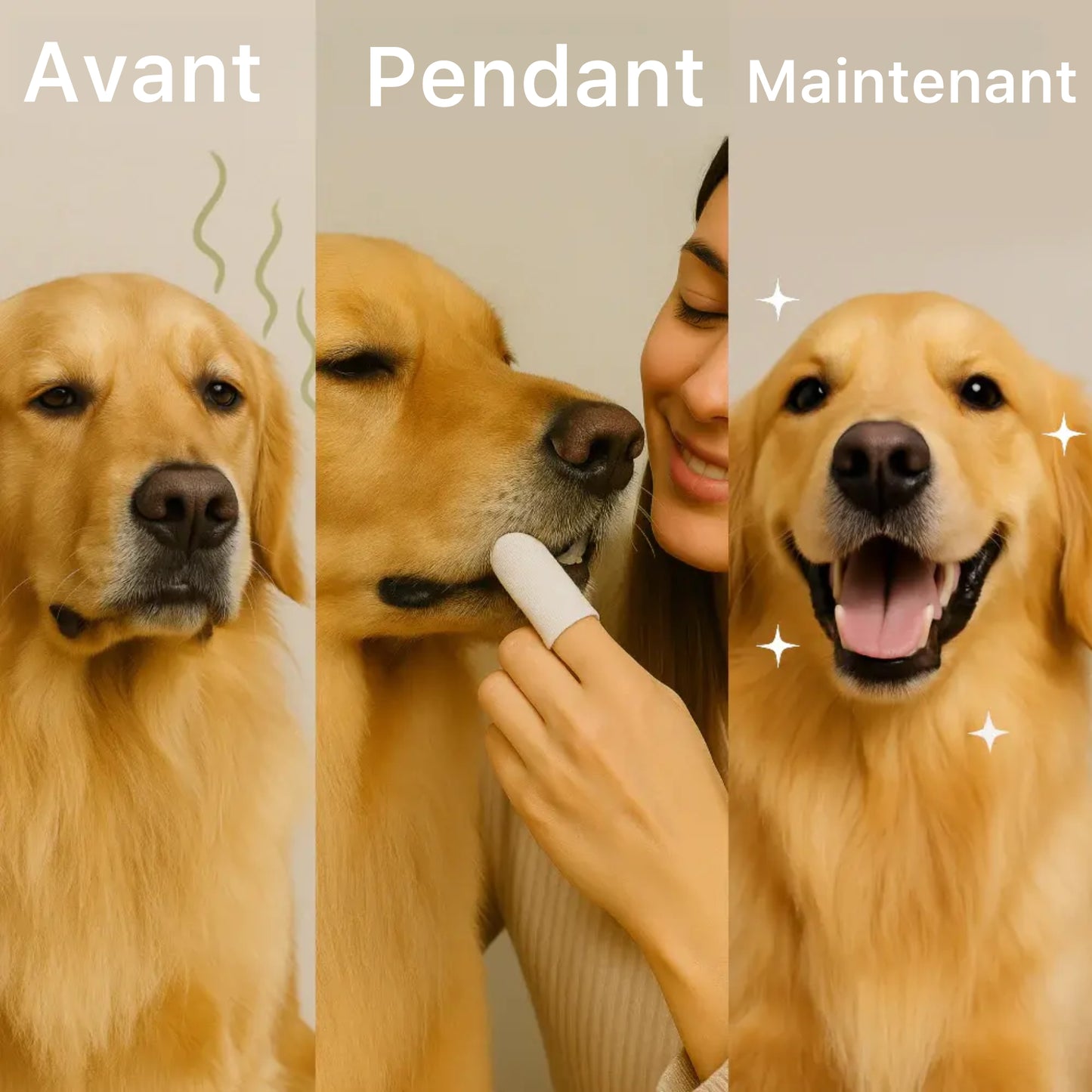 Canipure - Lingettes dentaires naturelles pour animaux de compagnie