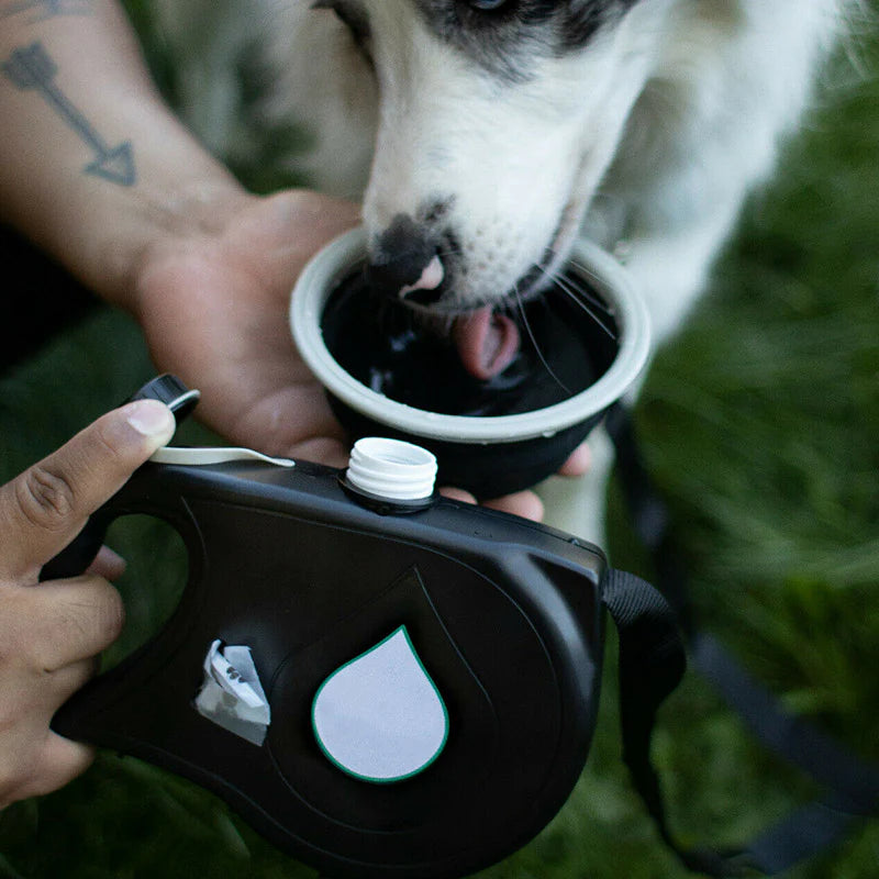 AquaToutou™  - Laisse pour chien 3 en 1 avec bouteille d'eau et distributeur de sacs à déjections