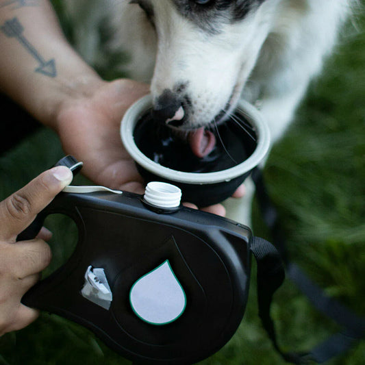 AquaToutou™  - Laisse pour chien 3 en 1 avec bouteille d'eau et distributeur de sacs à déjections