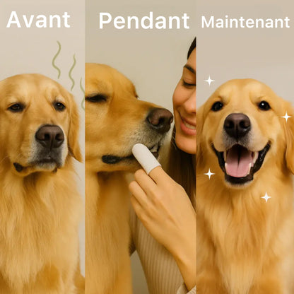 Canipure - Lingettes dentaires naturelles pour animaux de compagnie