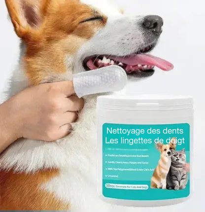 Canipure - Lingettes dentaires naturelles pour animaux de compagnie